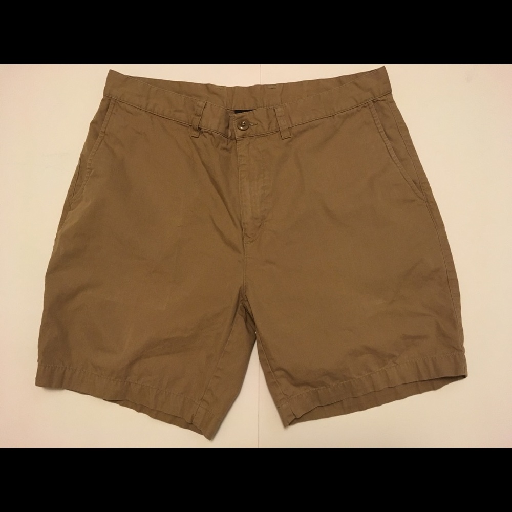 Patagonia Men’s Organic Cotton Shorts Size 34